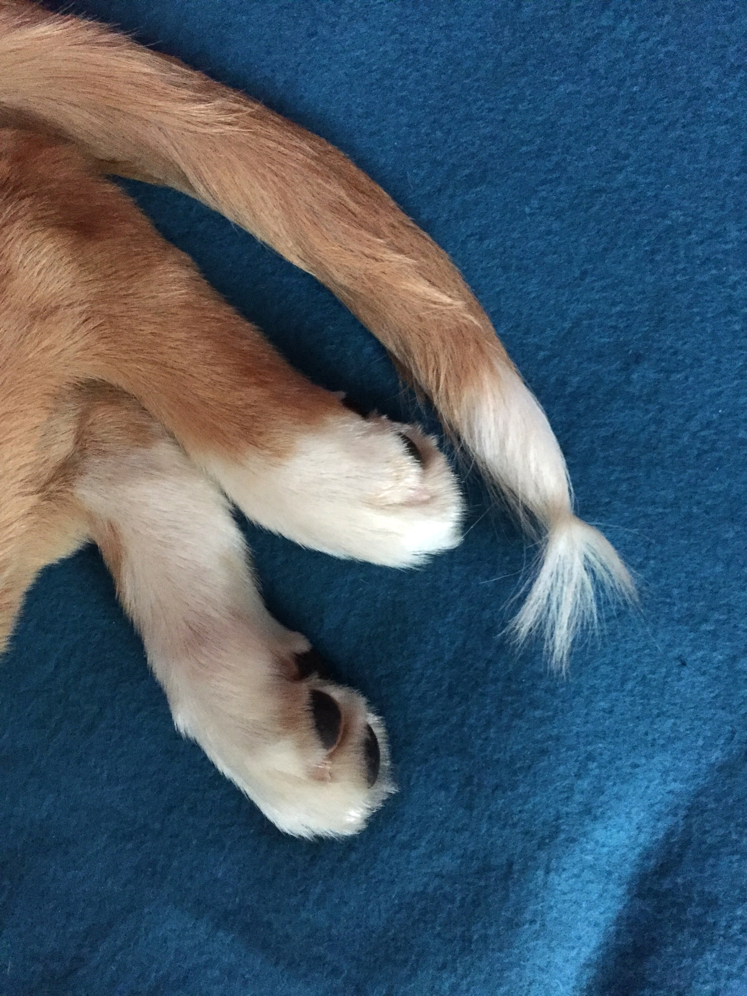 Edeldreist– einzigartige Lieblingsstücke