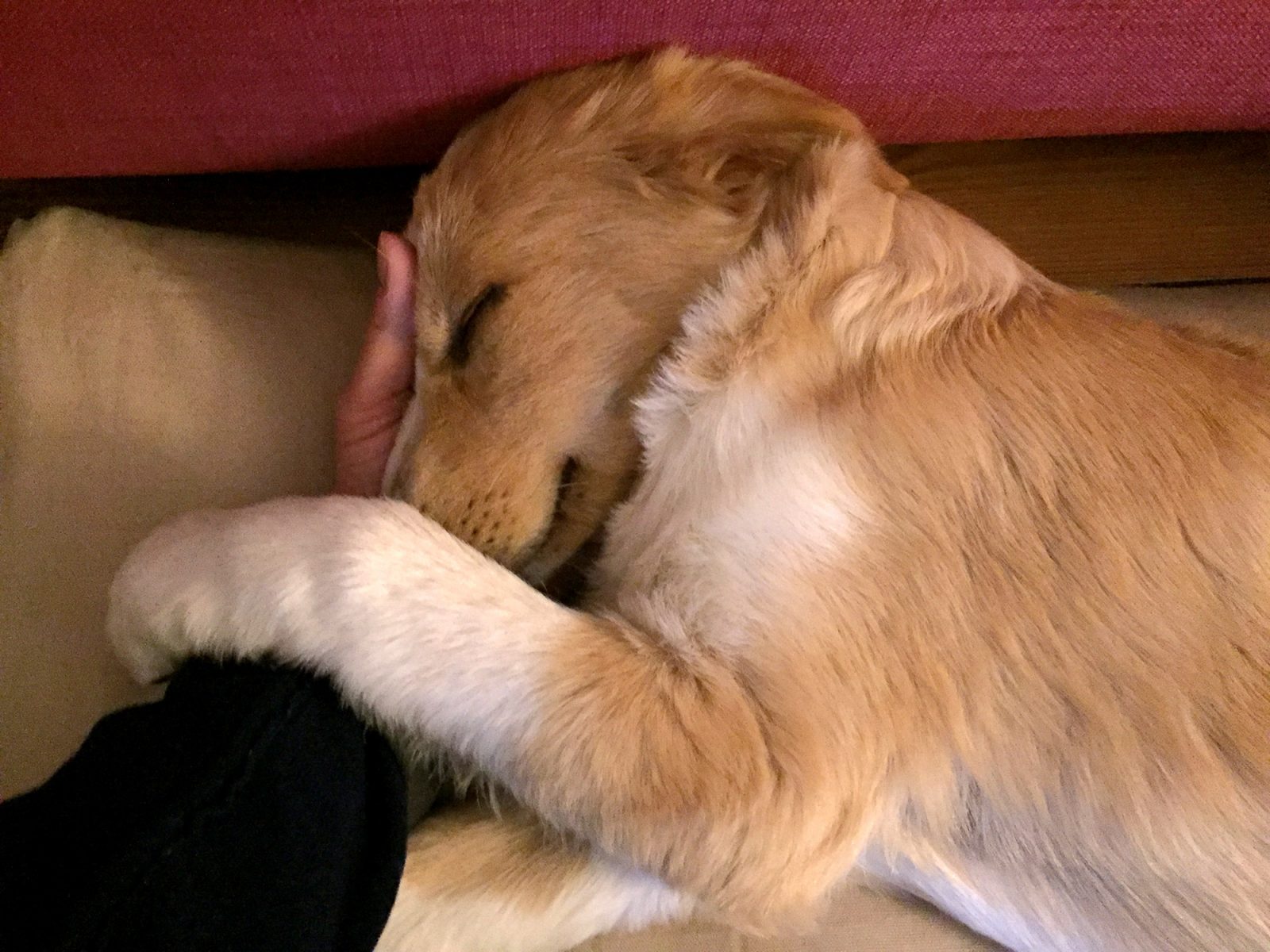 Edeldreist– einzigartige Lieblingsstücke