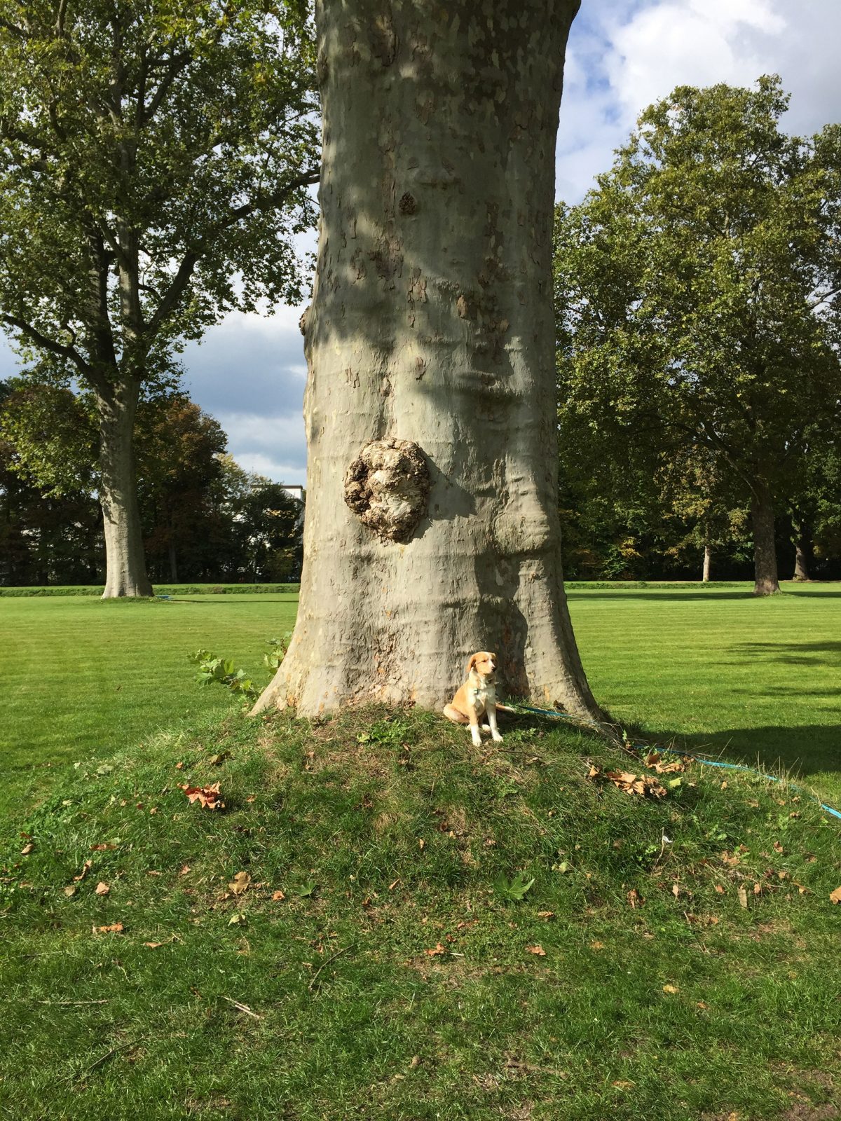 Edeldreist– einzigartige Lieblingsstücke