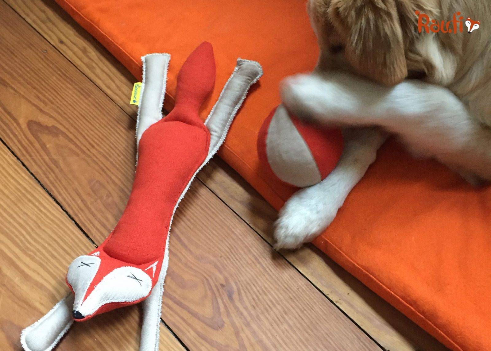 Edeldreist– einzigartige Lieblingsstücke