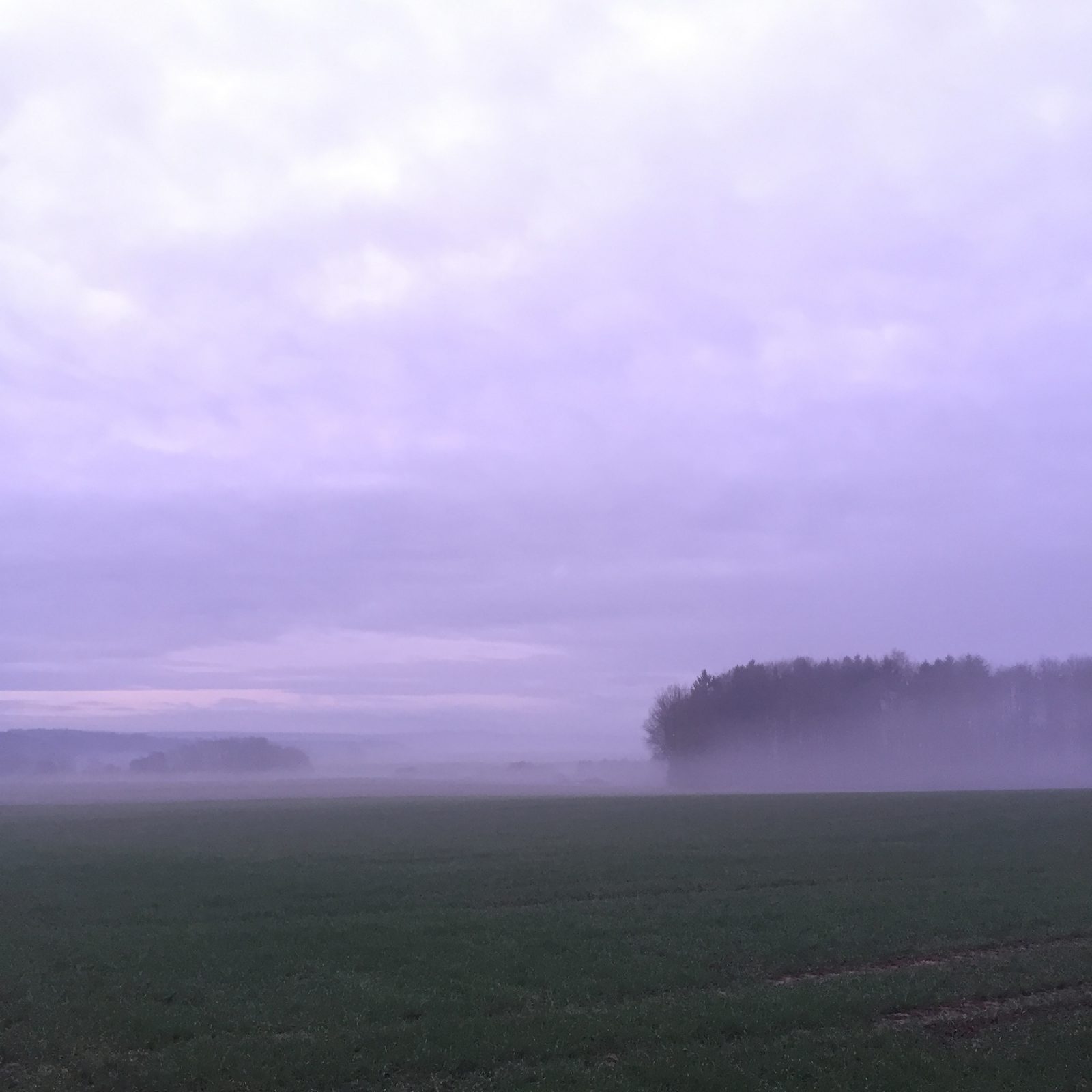 Edeldreist– einzigartige Lieblingsstücke