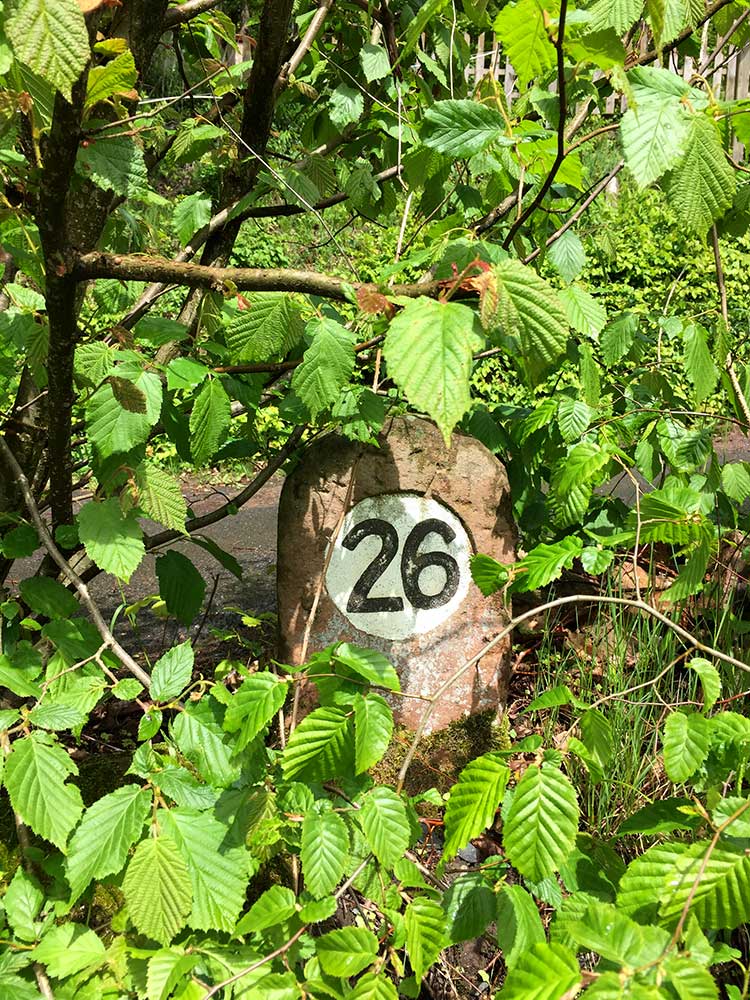 Edeldreist– einzigartige Lieblingsstücke