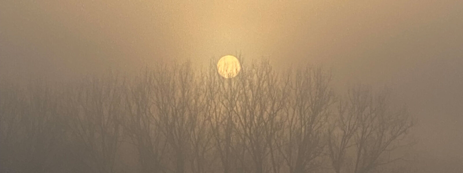 Edeldreist– einzigartige Lieblingsstücke